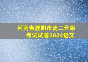 河南省濮阳市高二升级考试试卷2024语文