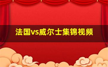 法国vs威尔士集锦视频