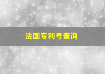 法国专利号查询