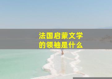 法国启蒙文学的领袖是什么