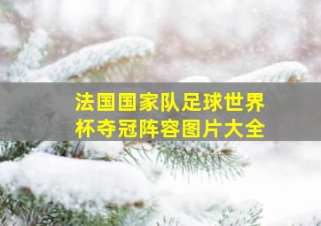 法国国家队足球世界杯夺冠阵容图片大全