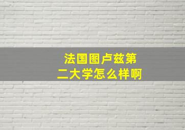 法国图卢兹第二大学怎么样啊