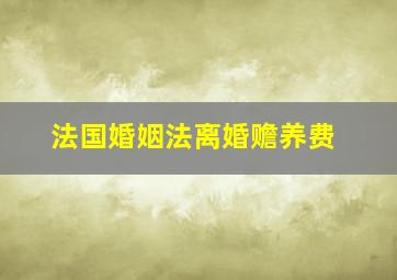 法国婚姻法离婚赡养费