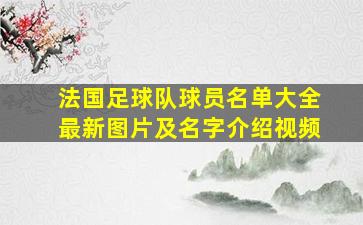 法国足球队球员名单大全最新图片及名字介绍视频