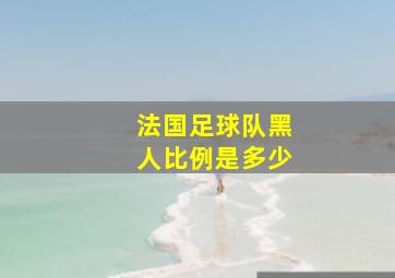 法国足球队黑人比例是多少