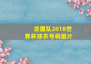 法国队2018世界杯球衣号码图片