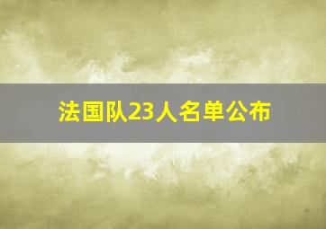 法国队23人名单公布