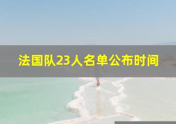 法国队23人名单公布时间