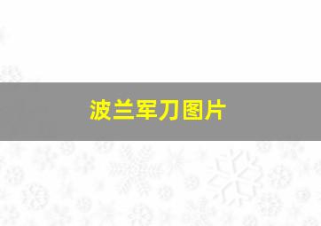 波兰军刀图片