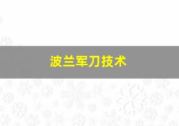 波兰军刀技术