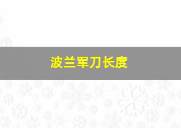 波兰军刀长度