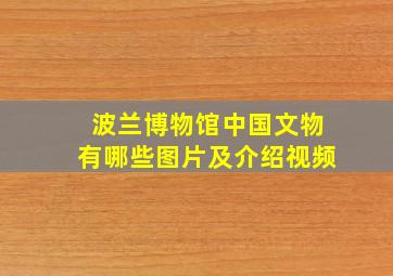 波兰博物馆中国文物有哪些图片及介绍视频