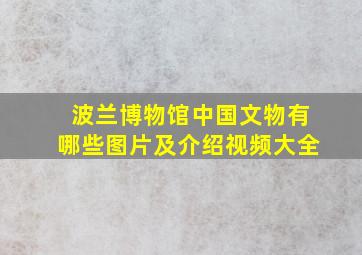 波兰博物馆中国文物有哪些图片及介绍视频大全