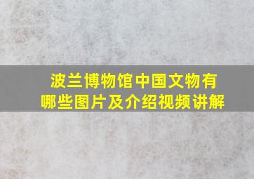 波兰博物馆中国文物有哪些图片及介绍视频讲解