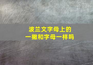 波兰文字母上的一撇和字母一样吗