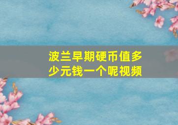 波兰早期硬币值多少元钱一个呢视频