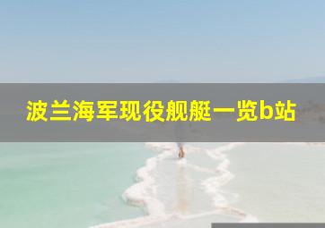 波兰海军现役舰艇一览b站