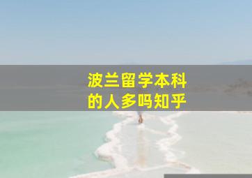 波兰留学本科的人多吗知乎