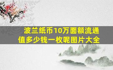 波兰纸币10万面额流通值多少钱一枚呢图片大全