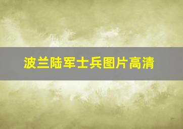 波兰陆军士兵图片高清