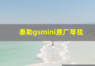 泰勒gsmini原厂琴弦