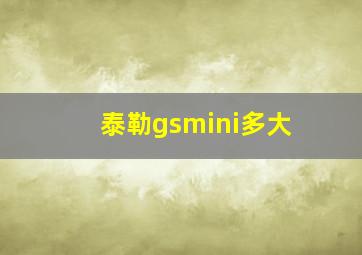 泰勒gsmini多大