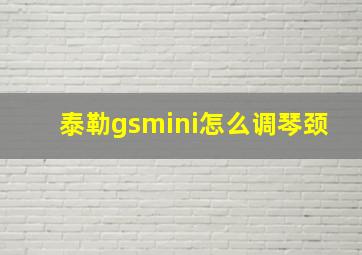 泰勒gsmini怎么调琴颈