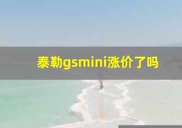 泰勒gsmini涨价了吗