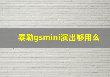 泰勒gsmini演出够用么