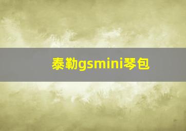 泰勒gsmini琴包