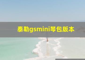 泰勒gsmini琴包版本