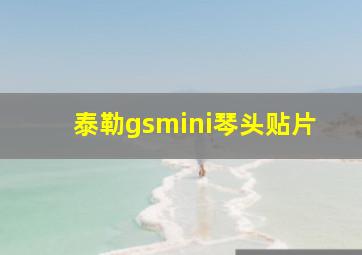 泰勒gsmini琴头贴片