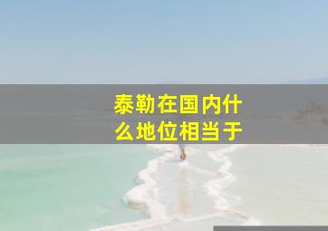 泰勒在国内什么地位相当于