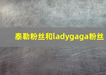 泰勒粉丝和ladygaga粉丝