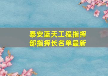 泰安蓝天工程指挥部指挥长名单最新