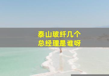 泰山玻纤几个总经理是谁呀