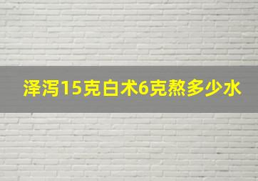 泽泻15克白术6克熬多少水