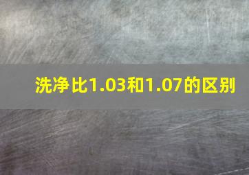 洗净比1.03和1.07的区别