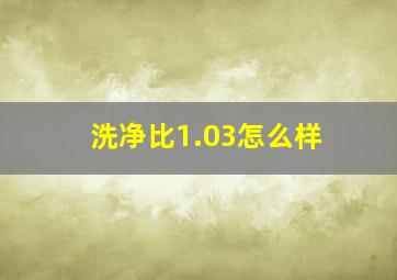 洗净比1.03怎么样