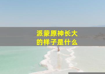 派蒙原神长大的样子是什么