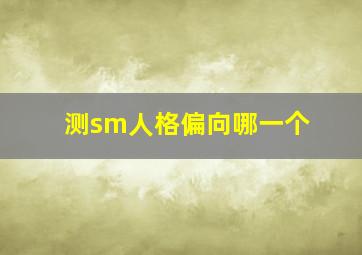 测sm人格偏向哪一个