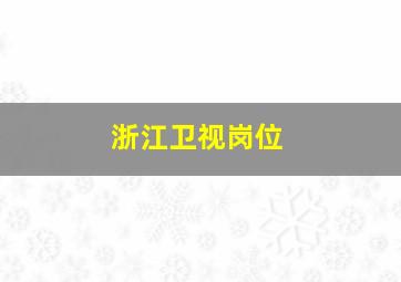 浙江卫视岗位