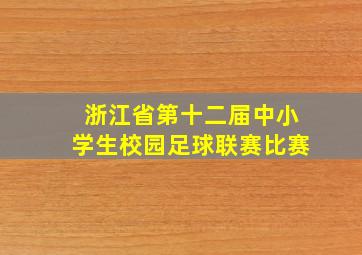 浙江省第十二届中小学生校园足球联赛比赛