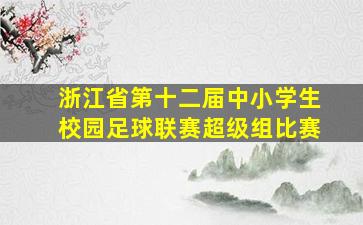 浙江省第十二届中小学生校园足球联赛超级组比赛