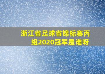 浙江省足球省锦标赛丙组2020冠军是谁呀