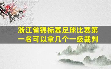 浙江省锦标赛足球比赛第一名可以拿几个一级裁判