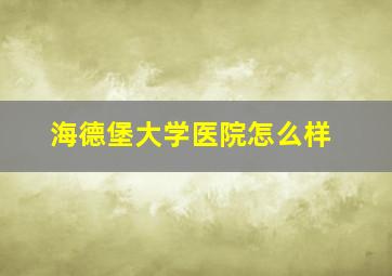 海德堡大学医院怎么样