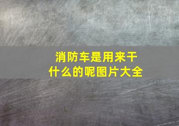 消防车是用来干什么的呢图片大全