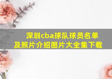 深圳cba球队球员名单及照片介绍图片大全集下载