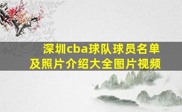 深圳cba球队球员名单及照片介绍大全图片视频